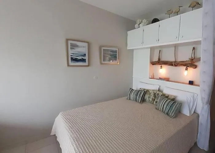 Seabird Studio